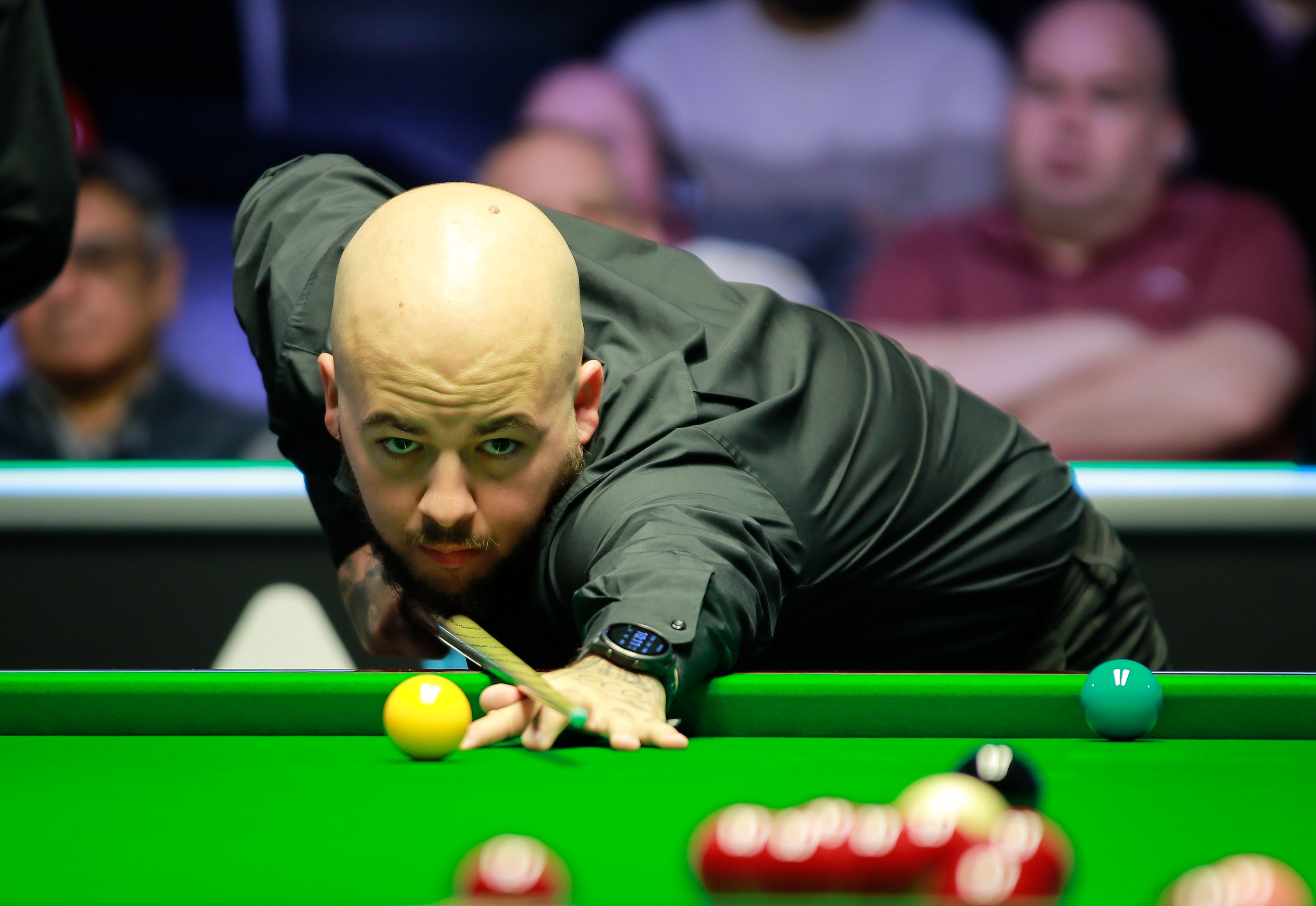 可以预见 可以预见